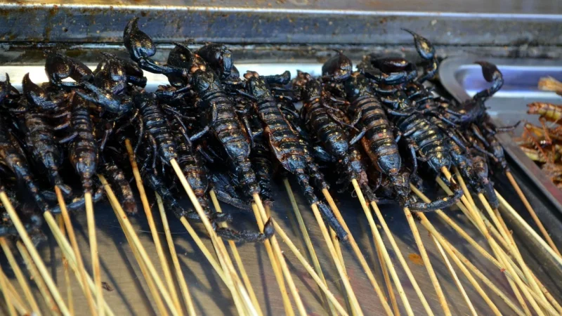 Discovering the Best Street Food Eats Around the World