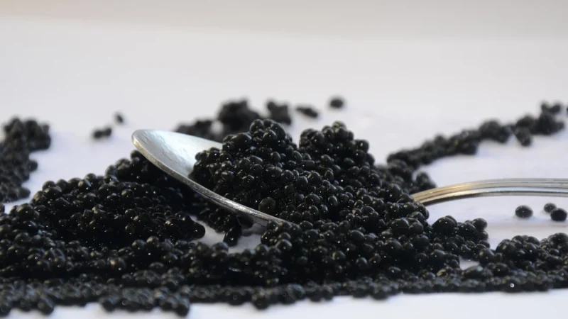From Truffles to Caviar: Decadent Delicacies Worth Savoring