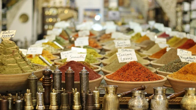 Gastronomic Adventures: A Culinary Journey Through History