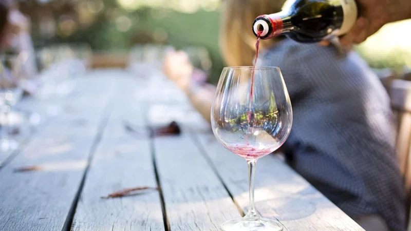 Mastering the Art of Pairing Wine and Food