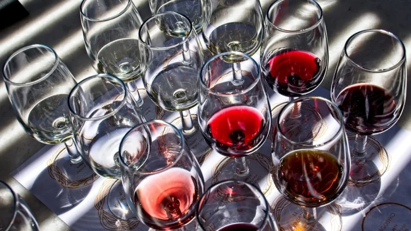 Taste Explorations: Unlocking the Secrets of Flavorful Discoveries